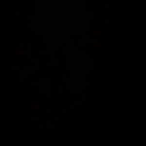 Meet your Posher, Kelli